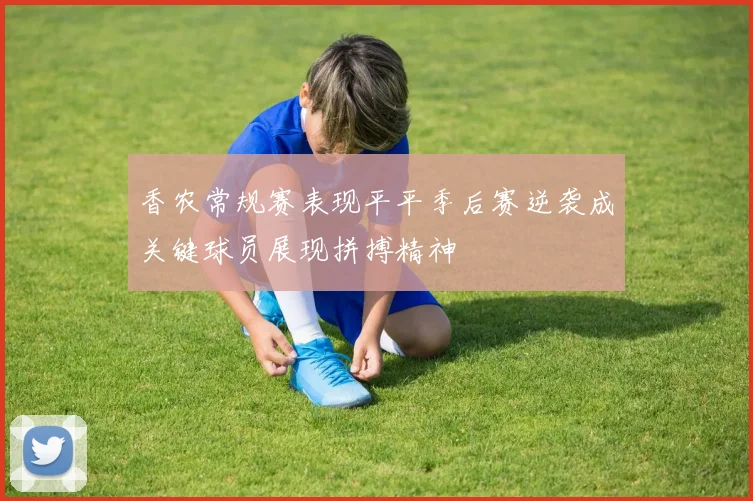 香农常规赛表现平平季后赛逆袭成关键球员展现拼搏精神